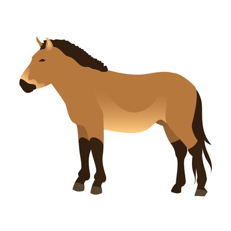 Ccartoon horse on white background. Cartoon horse vector illustration. Cute cartoon horse farm animals happy mane stallion character design.のイラスト素材