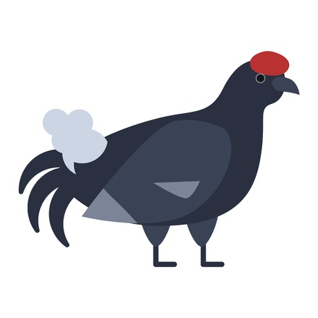 French partridge game bird pheasant family, partridge flying bird. Fowl red-legged pheasant habitat grouse. Wild pheasant pheasant, red-legged partridge nature bird animal fauna striped cock vector.のイラスト素材