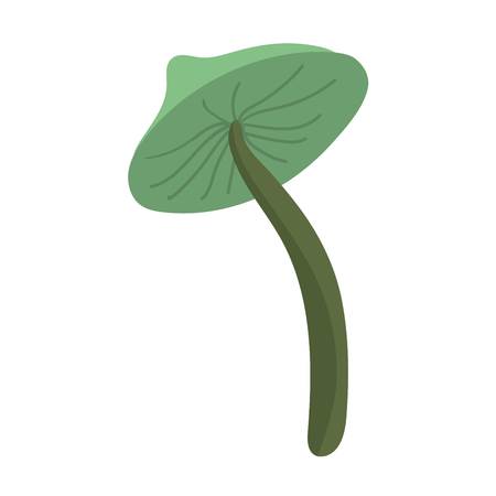 Mushrooms illustrationのイラスト素材