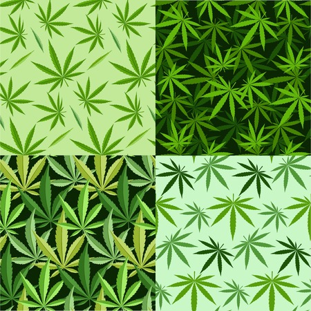 Green marijuana background  illustration. set marijuana background leaf pattern repeat seamless repeats. Marijuana leaf background herb narcotic textile pattern. Different  patterns.の写真素材