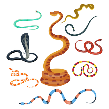 Snake reptile cartoon vector set.のイラスト素材