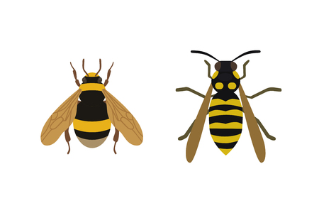 Insect icon flat isolated nature flying honey bee beetle ant and wildlife spider grasshopper or mosquito cockroach animal biology graphic vector illustration.のイラスト素材