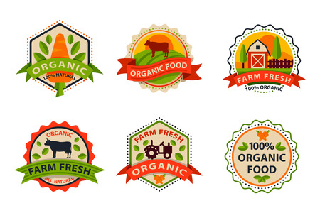Flat style of bio organic eco healthy food label logo template and vintage vegan farm element in orange green color badge vector illustration.のイラスト素材