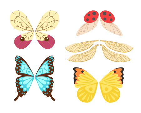 Wings isolated animal feather pinion bugs freedom flight and natural hawk life peace design flying element eagle winged side shape vector illustration.のイラスト素材