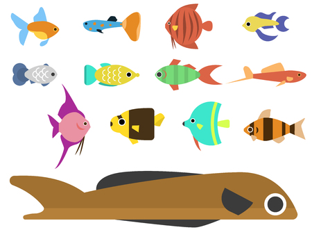Exotic tropical fish race different breed colors underwater ocean species aquatic strain nature flat vector illustration.のイラスト素材