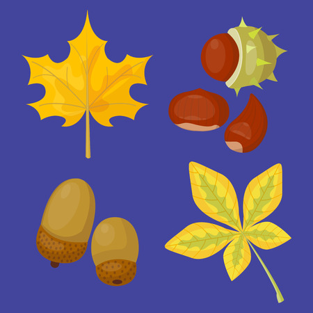 Autumn yellow maple leaf season nature color plant foliage bright decoration design natural colorful flat vector illustration.のイラスト素材