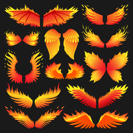 Flame bird fire wings fantasy feather burning blaze fly blazing danger flare glow fiery burn hot art vector illustration on black.のイラスト素材