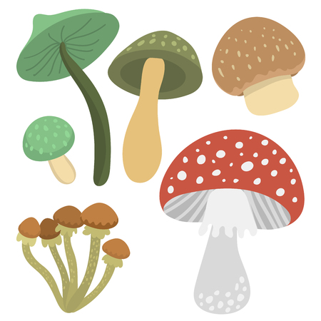 Amanita fly agaric toadstool mushrooms fungus different art style design vector illustration red hatのイラスト素材