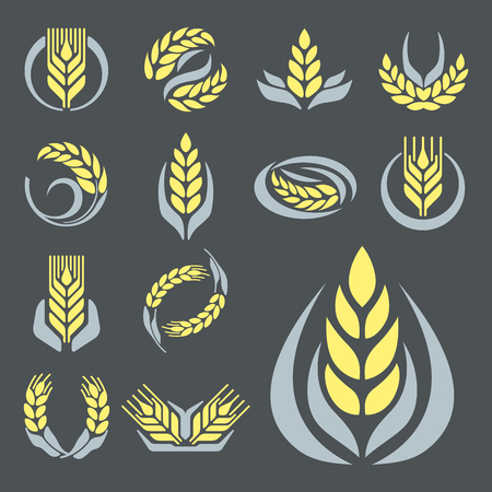 Cereal ears and grains agriculture industry or logo badge design vector food illustration organic natural symbolのイラスト素材
