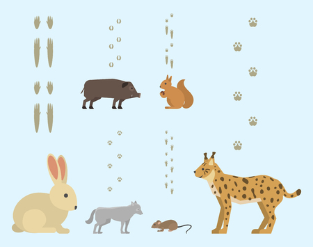 Animal footprints include mammals and birds foot print trace wildlife track steps wild nature silhouette vector.のイラスト素材