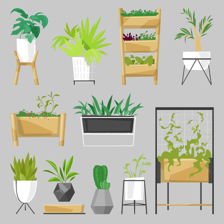 Plants in flowerpots vector potted houseplants indoor botanic cactuses aloe for house decoration with floral collection of botanical garden illustration isolated on white backgroundのイラスト素材