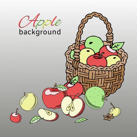 Apple basket background banner vector illustration. Bright colorful fruit in bucket or wooden container. Healthy fresh and organic food. Apple basket of different color and shape.のイラスト素材