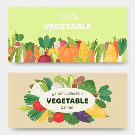 Garden eco vegetables vector illustration banners. Ecological organic vegetables food. Cartoon avocado, corn, squash, cucamber and tomato, eggplant, carrot and pepper.のイラスト素材
