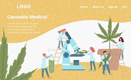 Laboratory medicines from cannabis plant web template vector illustration. Scientist mini people make herbal medicine from medical cannabis. Medics analyzing plants, herbs webpage.のイラスト素材