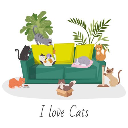 Cute cats, home pets cartoon illustration. Interior of the living room with plants and cats and kitten on cozy sofa. Home pets and i love cats quote isolated on white.のイラスト素材