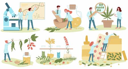 Homeopathy and natural alternative medicine, herbal medical treatment and homeopaths medics set of flat isolated on white vector illustrations. Homeopathic oils production, healing herbs treatment.のイラスト素材