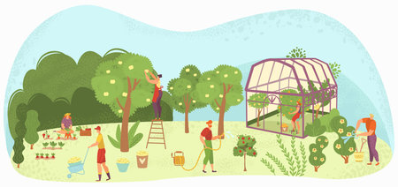 Garden care people gardening, harvesting and caring for trees, plants in plant-house and flowers gardeners flat vector illustration. People care, planting, and watering, agiculture and nature.のイラスト素材