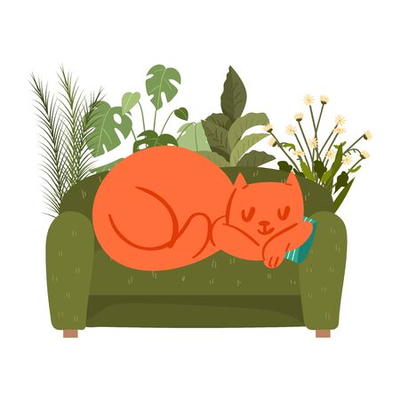 a man reading a book on sofa with sleeping cat at home. vectorのイラスト素材