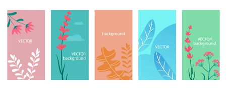 Floral background templates set, abstract vector floral design banners illustrations. Nature collection, flowers and plants decorative cards, ornament for celebration or invitations, congratulations.のイラスト素材