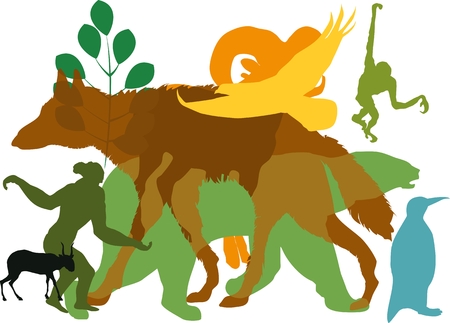 Colored animals silhouette symols of wildlife. Wolf, bear, monkey, antilope pengwinのイラスト素材
