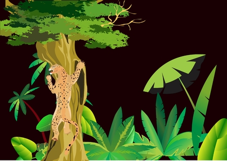 African night, leopard on tree, black backgroundのイラスト素材