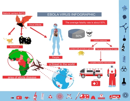 Ebola virus epidemy infographic illustrationのイラスト素材