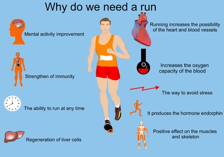 Running infographic vector illustration. Health, sport, body, fitnessのイラスト素材