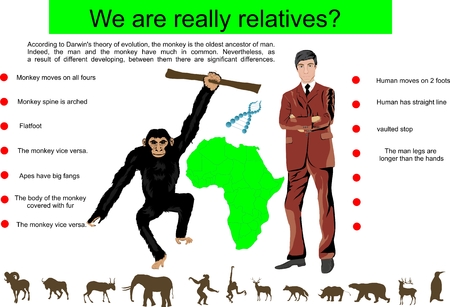 Concept infographic image. Connection between man and monkeyのイラスト素材