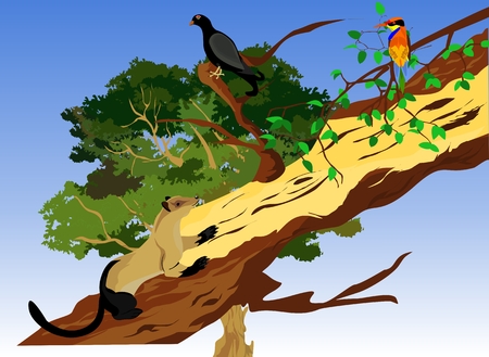 Marten on tree trunk, birds in tree branch wildlife scene illustration.のイラスト素材