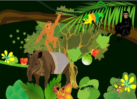 In south american rainforest, tapir, howler monkeys, plants, flowers. illustrationのイラスト素材