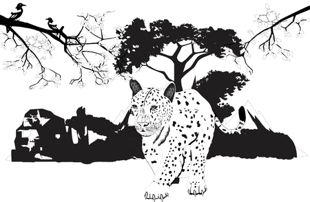 Leopard walking forest on background, tree branches, vector illustrationのイラスト素材