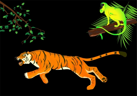 Tiger and monkey on night jungle backgroundのイラスト素材