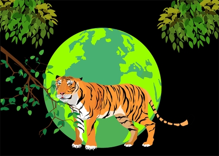 Tiger standing in front of earthのイラスト素材