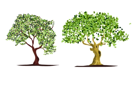 2 Vector trees isolated vector illustrationのイラスト素材
