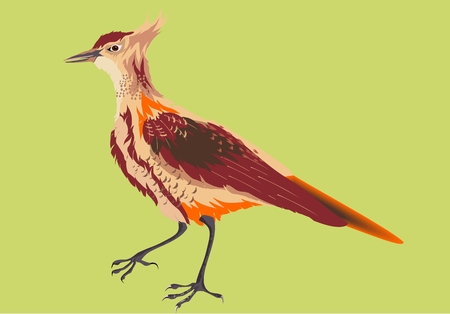 Lark wild singer birdのイラスト素材