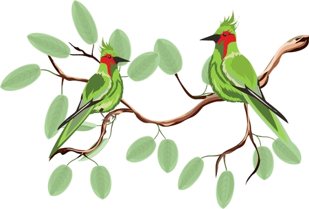 Green birds on tree branch vector imageのイラスト素材