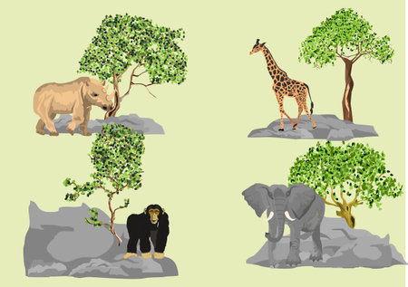 Wild animals vector illustration set. Elephant, giraffe, rhino.のイラスト素材