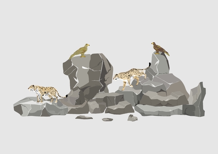 Snow leopards and eagles sitting on rocks vector illustrationのイラスト素材