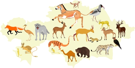 Map of wild Kazakhstan vector illustrationのイラスト素材