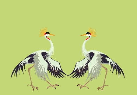 2 dancing Crane crane birds illustrationのイラスト素材