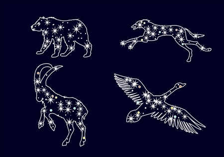 Constellations, vector illustrationのイラスト素材