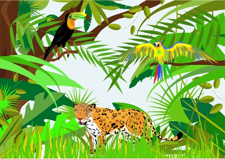 Jungle life vector illustrationのイラスト素材
