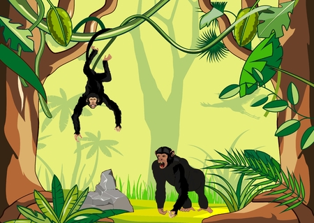 Tropical jungle illustration background with apesのイラスト素材