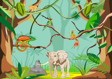 Tropical jungle illustration backgroundのイラスト素材