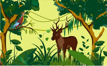 Jungle forest backround and deer among trees vector ilustrationのイラスト素材