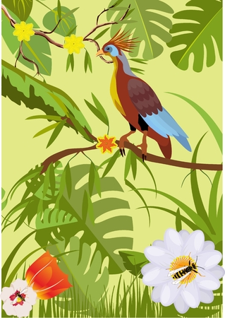 Illustration pour Jungle vector illustration, tropical vector bird and plants and flowers - image libre de droit