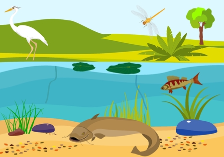 River underwater vector illustrationのイラスト素材