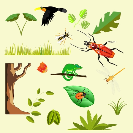Set of tropical elements, birds, plants, insectsのイラスト素材