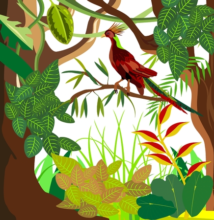 Jungle vector illustration tropical bird, leavesのイラスト素材