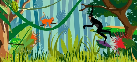Jungle background monkey vectorのイラスト素材